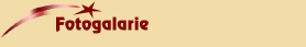 Fotogalarie